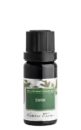 Nobilis Tilia Éterický olej - smrk (10 ml) - příznivě působí na dýchací systém